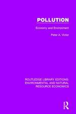 Pollution: Economy and Environment