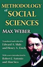 Methodology of Social Sciences