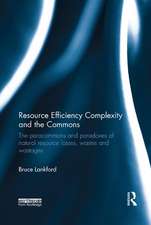 Resource Efficiency Complexity and the Commons: The Paracommons and Paradoxes of Natural Resource Losses, Wastes and Wastages