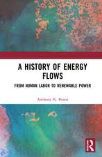 A History of Energy Flows: From Human Labor to Renewable Power