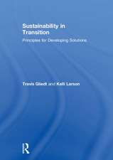 Sustainability in Transition: Principles for Developing Solutions