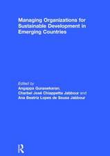 Managing Organizations for Sustainable Development in Emerging Countries