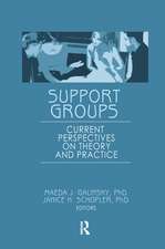 Support Groups: Current Perspectives on Theory and Practice