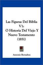 Las Figuras Del Biblia V1