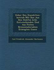 Ueber Den Eisenh Tten-Betrieb Mit Den Aus Den Hoh Fen [Et]c. Entweichenden Und Aus Festen Brennmaterialien Erzeugten Gasen