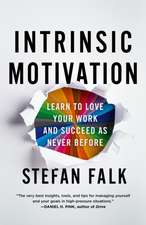 Intrinsic Motivation