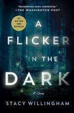 A Flicker in the Dark