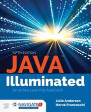 Java Illuminated