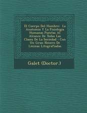 El Cuerpo Del Hombre: � La Anatomia Y La Fisiologia Humanas Puestas Al Alcance De Todas Las Clases De La Sociedad: Con Un Gran Nʏ