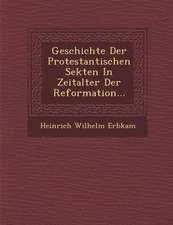 Geschichte Der Protestantischen Sekten in Zeitalter Der Reformation...