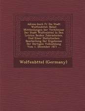 Adress-Buch Fur Die Stadt Wolfenb Ttel: Nebst Mittheilungen Ber Verh Ltnisse Der Stadt Wolfenb Ttel in Den Letzten Beiden Jahrzehnten, Und Einer Stati