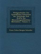 Weltgeschichte Zur Grundlichen Erkenntni Der Schicksale Und Krafte Des Menschengeschlechtes: Mittelalter, Volume 3...