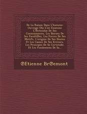 de La Raison Dans L'Homme: Ouvrage Olu L'On Examine L' Etendue de Ses Connoissances, Les Bornes de Ses Facult Es, Les Forces de Ses Motifs, L'Ori