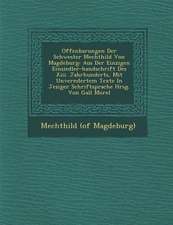 Offenbarungen Der Schwester Mechthild Von Magdeburg: Aus Der Einzigen Einsiedler-Handschrift Des XIII. Jahrhunderts, Mit Unver Ndertem Texte in Jezige