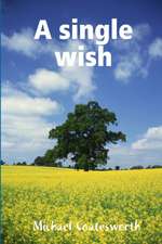A single wish