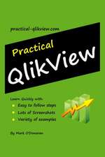 Practical Qlikview