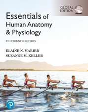 Essentials of Human Anatomy & Physiology, Global Edition + Mastering A&P with Pearson eText