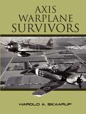 Axis Warplane Survivors