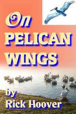 On Pelican Wings