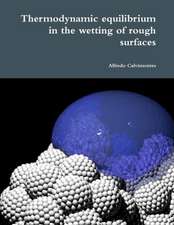 Thermodynamic Equilibrium in the Wetting of Rough Surfaces