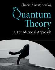 Quantum Theory: A Foundational Approach