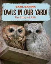 Owls in Our Yard! – The Story of Alfie