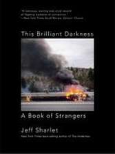 This Brilliant Darkness – A Book of Strangers