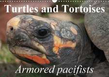 Turtles and Tortoises - Armored pacifists (Wall Calendar 2018 DIN A3 Landscape)