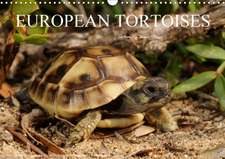 European Tortoises / UK-Version (Wall Calendar 2020 DIN A3 Landscape)