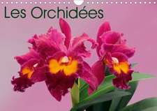 Les Orchidées (Calendrier mural 2020 DIN A4 horizontal)