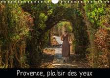 Provence, plaisir des yeux (Calendrier mural 2020 DIN A4 horizontal)