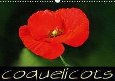 Coquelicots (Calendrier mural 2020 DIN A3 horizontal)