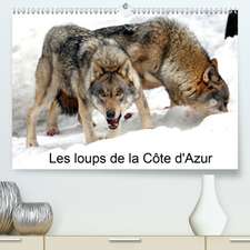 Les loups de la Côte d'Azur(Premium, hochwertiger DIN A2 Wandkalender 2020, Kunstdruck in Hochglanz)