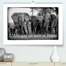 L' Afrique en noir et blanc(Premium, hochwertiger DIN A2 Wandkalender 2020, Kunstdruck in Hochglanz)