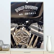 Harley Davidson en détail(Premium, hochwertiger DIN A2 Wandkalender 2020, Kunstdruck in Hochglanz)