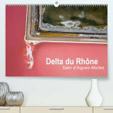 Delta du Rhône - Salin d'Aigues-Mortes(Premium, hochwertiger DIN A2 Wandkalender 2020, Kunstdruck in Hochglanz)