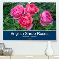 English Shrub Roses(Premium, hochwertiger DIN A2 Wandkalender 2020, Kunstdruck in Hochglanz)