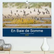 En Baie de Somme(Premium, hochwertiger DIN A2 Wandkalender 2020, Kunstdruck in Hochglanz)