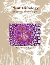 Plant Histology at Optical Microscope