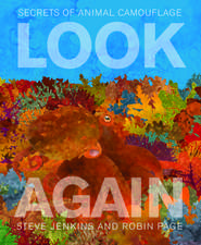 Look Again