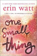 ONE SMALL THING