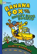 BANANA FOX & THE SECRET SOUR S