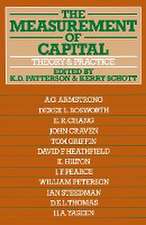 The Measurement of Capital: Theory and Practice