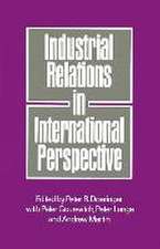 Industrial Relations in International Perspective: Essays on Research and Policy