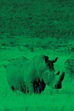 Alive! White Rhino - Green Duotone - Photo Art Notebooks (6 X 9 Series)