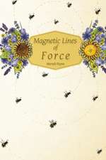 Magnetic Lines of Force