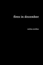 Fires in December