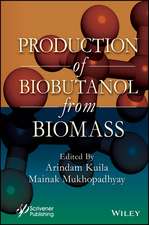 Production of Biobutanol from Biomass