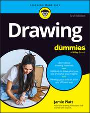 Drawing For Dummies 3rd Edition