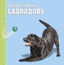 Fast Facts About Labradors